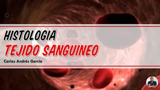 Histología  Tejido Sanguíneo Plasma Hematíes Leucocitos y Plaquetas [upl. by Nossyla]