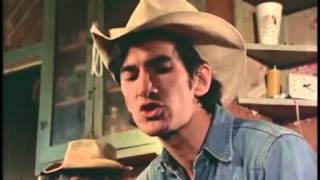 Townes Van Zandt  3 canciones subtituladas al español [upl. by Mur485]