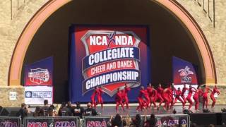 University of Louisville Ladybird Dance Team 2016 NDA National Champions [upl. by Atisusej]