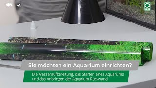 JBL TV 19 Teil 6 Aquarieneinrichtung  Wasseraufbereitung Starten und Rückwand anbringen [upl. by Dierolf588]