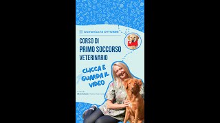 CORSO PRIMO SOCCORSO VETERINARIO [upl. by Ilil660]