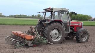 Landb Roose  Eernegem  Massey Ferguson 390  Fähse [upl. by Solakcin]