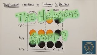 Halogens  Group 7  Properties amp Reactivity  Everything A GCSE Student Needs to Know [upl. by Shipman999]