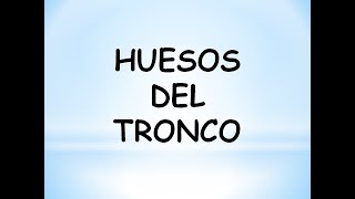 Guía de los HUESOS del TRONCO ☠️ [upl. by Werdnaed685]