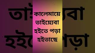 হাদিস নং৩৩। সমস্ত আমলের মধ্যে সর্বোত্তম আমল কী  কালেমার সহিহ হাদিস। হাদিস শিক্ষা। shorts [upl. by Sosna572]