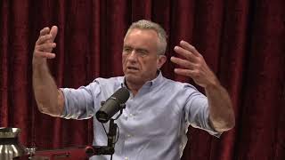 Joe Rogan Experience 1999  Robert Kennedy Jr [upl. by Adeehsar]