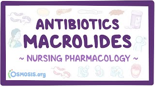 Antibiotics  Macrolides Nursing Pharmacology [upl. by Betz]