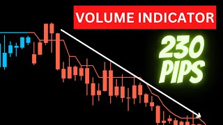 Volume Indicator MT4  230 Pips with this Volume Indicator Strategy [upl. by Etiuqram]