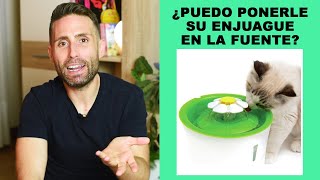 ¿Se puede echar el enjugue bucal para gatos en su fuente de agua [upl. by Hpesoj561]