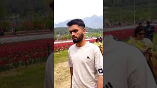 tulip 🌷 garden of Kashmir new video yt sort [upl. by Eahcim]