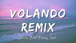 Mora Bad Bunny Sech  Volando Remix LyricsLetra [upl. by Sirk720]