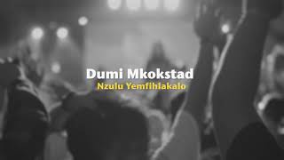 Dumi Mkokstad – Nzulu Yemfihlakalo Official Lyric Video [upl. by Jori]