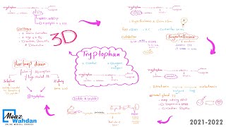 25 Tryptophan metabolism  Moaz Wahdan [upl. by Auqeenahs105]