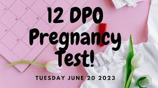 12 DPO Pregnancy Test JUNE 2023 Too late for a faint line [upl. by Elvis]