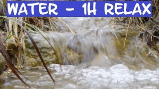 ASMR RELAXATION WATER  RUISSEAU  SENDORMIR DETENTE ASLEEP [upl. by Baese]