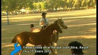 Jineteadas y Broche de Oro en la fiesta criolla de Rauch Enero 2012 [upl. by Osnola]