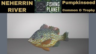 Fishing Planet Neherrin River Pumpkinseed Common amp Trophy [upl. by Neurath]