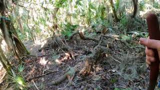 Lake Beresford Woods Post Hurricane Milton history explorer florida volusiacounty [upl. by Winifield]