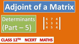 Adjoint of a matrix Part 5  Determinants Class 12 [upl. by Durgy]