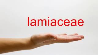 How to Pronounce lamiaceae  American English [upl. by Citarella]