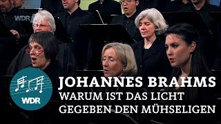 Johannes Brahms  Warum ist das Licht gegeben dem Mühseligen Op 74  WDR Rundfunkchor [upl. by Cyn292]