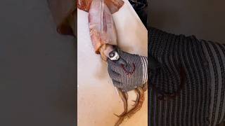 Amazing Squid Cleaning amp Harvesting 🔥🤯 fishing youtubeshorts viral viral [upl. by Wilson]