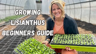 Growing Lisianthus  A Beginners Guide  Whispering Willow Farm [upl. by Nitnelav]