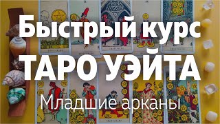 Быстрый Курс Таро Уэйта Младшие Арканы Значения арканов  Школа Таро Леры Йови [upl. by Yerfej164]