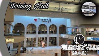 Cherryvale Mall  Rockford Illinois [upl. by Ahseuqram]