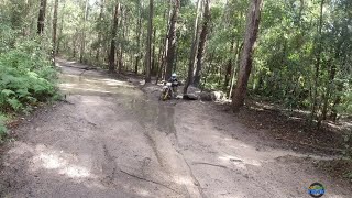 FIRST RIDE ON MY NEW SHERCO SEF 450 FACTORY [upl. by Caines434]