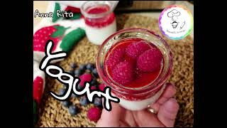 Yogurt home made [upl. by Vina584]