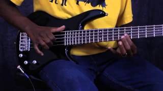 Ibanez GSRM25 5 String Short Scale Bass [upl. by Green]