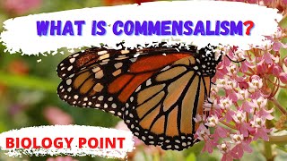 what is commensalism in biology  Commensalism  commensalism meaning  commensalism definition [upl. by Eilahs]