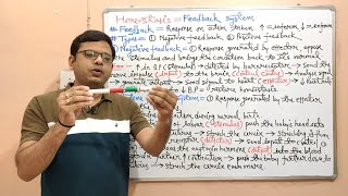 Anatomy amp Physiology 11 Homeostasis in Humans  Negative amp Positive Feedback Mechanism HINDI [upl. by Myra]