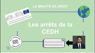 Quest ce quun arrêt de la CEDH  La Minute de droit ⏱️ [upl. by Charmian]