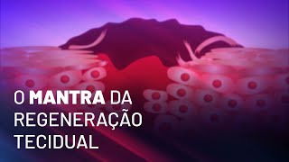 O mantra da regeneração tecidual [upl. by Nepsa]