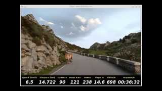 Los Lagos de Covadonga Real Life Video RLV [upl. by Bunnie]