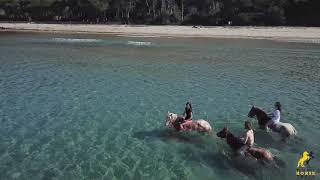 Cala Violina a cavallo in spiaggia al galoppo in Maremma in Toscana [upl. by Sesmar]