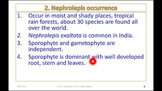 Nephrolepis part 1 [upl. by Ymled]