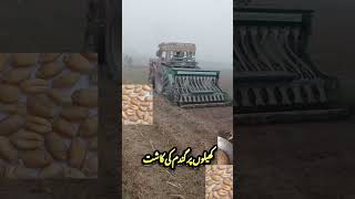 Supper seeder sowing wheat after maize harvest without land preparation [upl. by Aneryc]