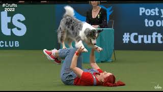 Crufts 2022 Dog Dancing Freestyle Routine  Jen and Daiquiri  Canada [upl. by Martinson784]