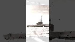 Lo speronamento del sommergibile HMS Cachalot ww2 marina 2gm storia [upl. by Rivalee]