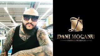 Dani Mocanu  Tot aurul din lume  Official Audio [upl. by Brandwein]