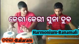 Keri Keri Suna duba full song Covered  Tabla Balaram HarmonioumBanamali [upl. by Ayatnahs55]