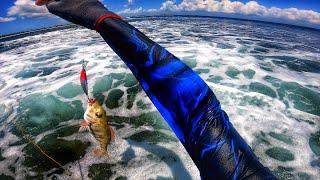 Fishing for Wrasse 🐟 [upl. by Iong]