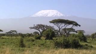 Amboseli National Park in Kenya with Kilimanjaro [upl. by Almond]