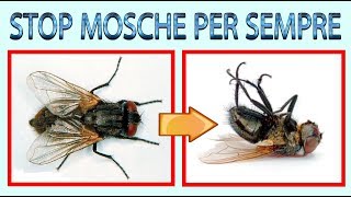 ELIMINA MOSCHE A COSTO ZERO e zanzare eliminare definitivamente mosche in modo ecologico [upl. by Ettesil]