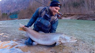 Hucho Fly fishing in Slovenia  Pêche du huchon en Slovénie à la mouche  December 2023 [upl. by Giorgi369]