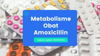 Metabolisme Obat Amoxicillin [upl. by Anahsohs933]