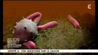 Le syndrome de GuillainBarré pour les nuls  vaccination  grippe A  H1N [upl. by Nhguaved951]